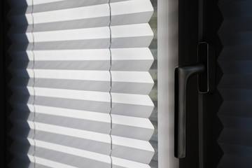 Plissee Rollo Fenster