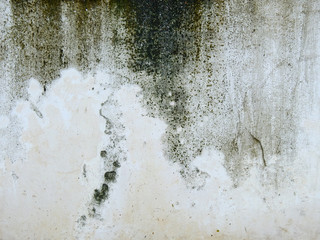 mold on old wall texture