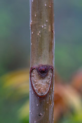  texture and background