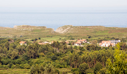 Fototapeta na wymiar Forest in the north of Spain with the sea in the background