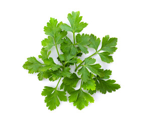 Parsley leaf isolated on a white background. top view