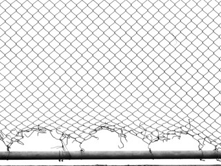damage wire mesh