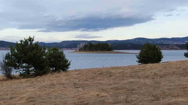 Aerial view of isolated small forest island in a lake with birds