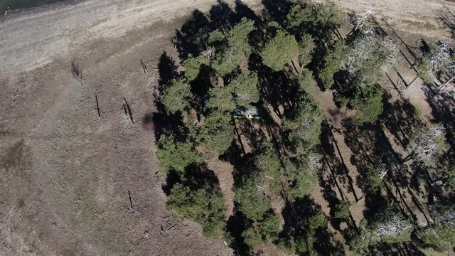 Aerial view of isolated small forest island in a lake with birds