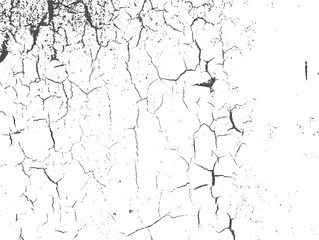 Grunge texture. Black scratched dried paint texture on the tree. Vector isolated background