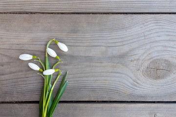 Snowdrop flowers on a wooden surface. Spring minimalistic concept with copy space. Flat lay.