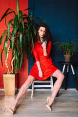 Obraz na płótnie Canvas Beautiful fashion slim girl with dark long hair, in red elegant dress posing on blue red wall in studio. Indor soft focus portrait of stylish brunette babe sitting between two plants with legs apart