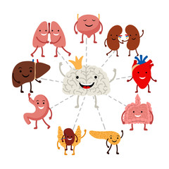 Brain controls internal human organs vector concept. Illustration of brain organ, internal control healthcare