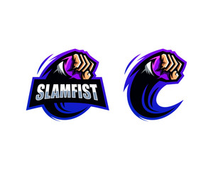 website, logo, creative idea, sports, esports logo, illustration, mascot, cartoon, creative idea, vector,  graphic, creative idea, abstract, ui and ux, branding