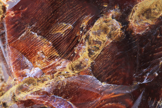 wooden opalite mineral texture