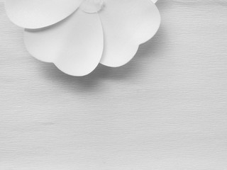 White artificial flower on white paper