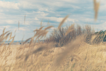 Walk on the beach of the Baltic Sea in early spring