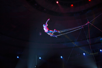 performance of air acrobats in the circus