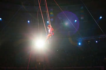 performance of air acrobats in the circus
