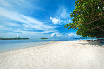 Idyllic tropical beach, palm, white sand and crystal clear water