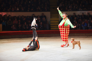 the clown's performance at the circus.