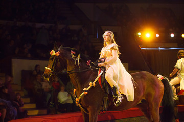 performance of horses in the circus.