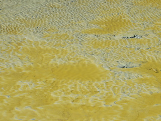 Wetlands texture