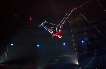 performance of air acrobats in the circus