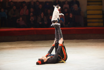 the clown's performance at the circus.