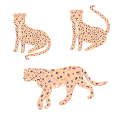 Exotic tropics. Leopard in the jungle. Paradise, tropic plants and trees