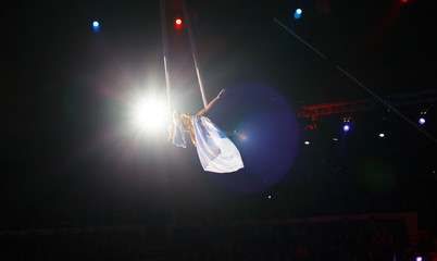 performance of air acrobats in the circus