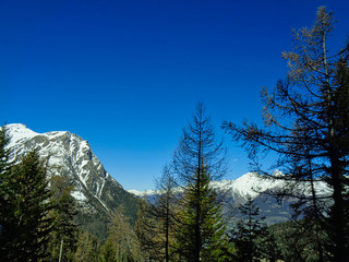 snowy mountains in the alps with forest