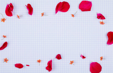a concept of a greeting card with white squared paper background copy space for text and sprinkle...