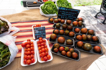 Speciality tomatoes and lettuces at a farmers market stand on a bright beautiful Saturday morning.
