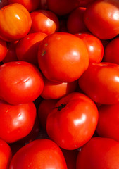 Bright red Florida tomatoes at a fruit and vegetable stand on a Saturday morning farmers market in Fort Pierce Florida.