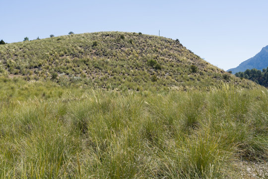 Beautiful alpine landscape, green mountain enviroment and blue sky in a sunny day