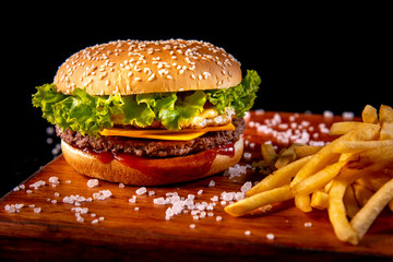 hamburguer french fries