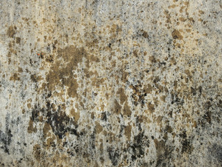 wet grunge wall texture
