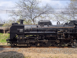 Naklejka premium SLパレオエクスプレス