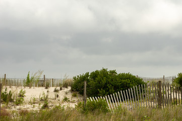Fototapeta na wymiar Dunes On the Beach