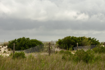 Fence along the Seashore