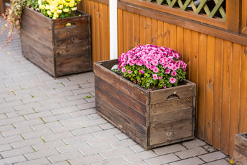 wooden flowerpots for decoration