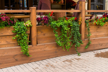 green flowerbeds decorating the terrace cafe