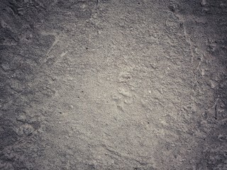 Fragment of an old concrete wall