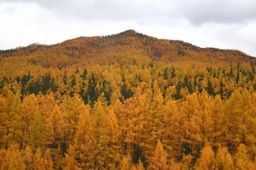 autumn in the mountains