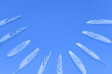 decorative feathers on blue background with copy space