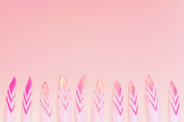 decorative feathers on pink background with copy space