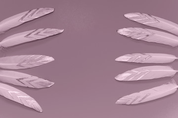 decorative goose feathers with copy space