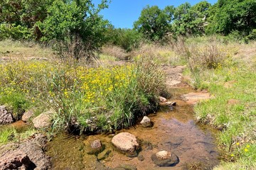 Enchanted rock