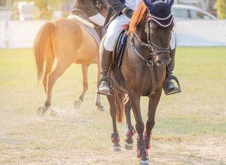         Close up action of Equestrians during workouts warm up prepare competition in race course