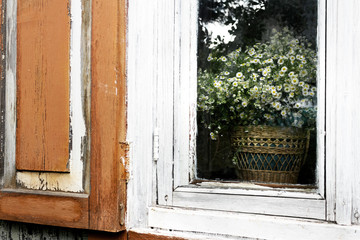 bouquet of wild flowers in wicker basket on rustic window window with shutters