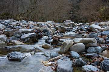 山中にある川のせせらぎ
