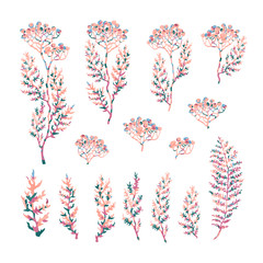 Vector colorful illustration set of herbs, plants and flowers. Hand drawn graphic sketches for you design