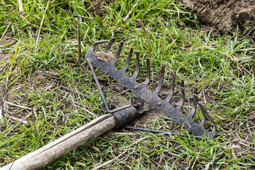 metal garden rake
