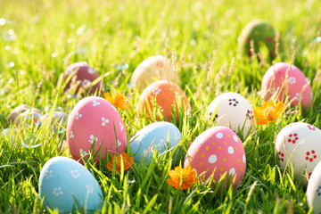 Happy easter!  Closeup Colorful Easter eggs in nest on green grass field during sunset background.